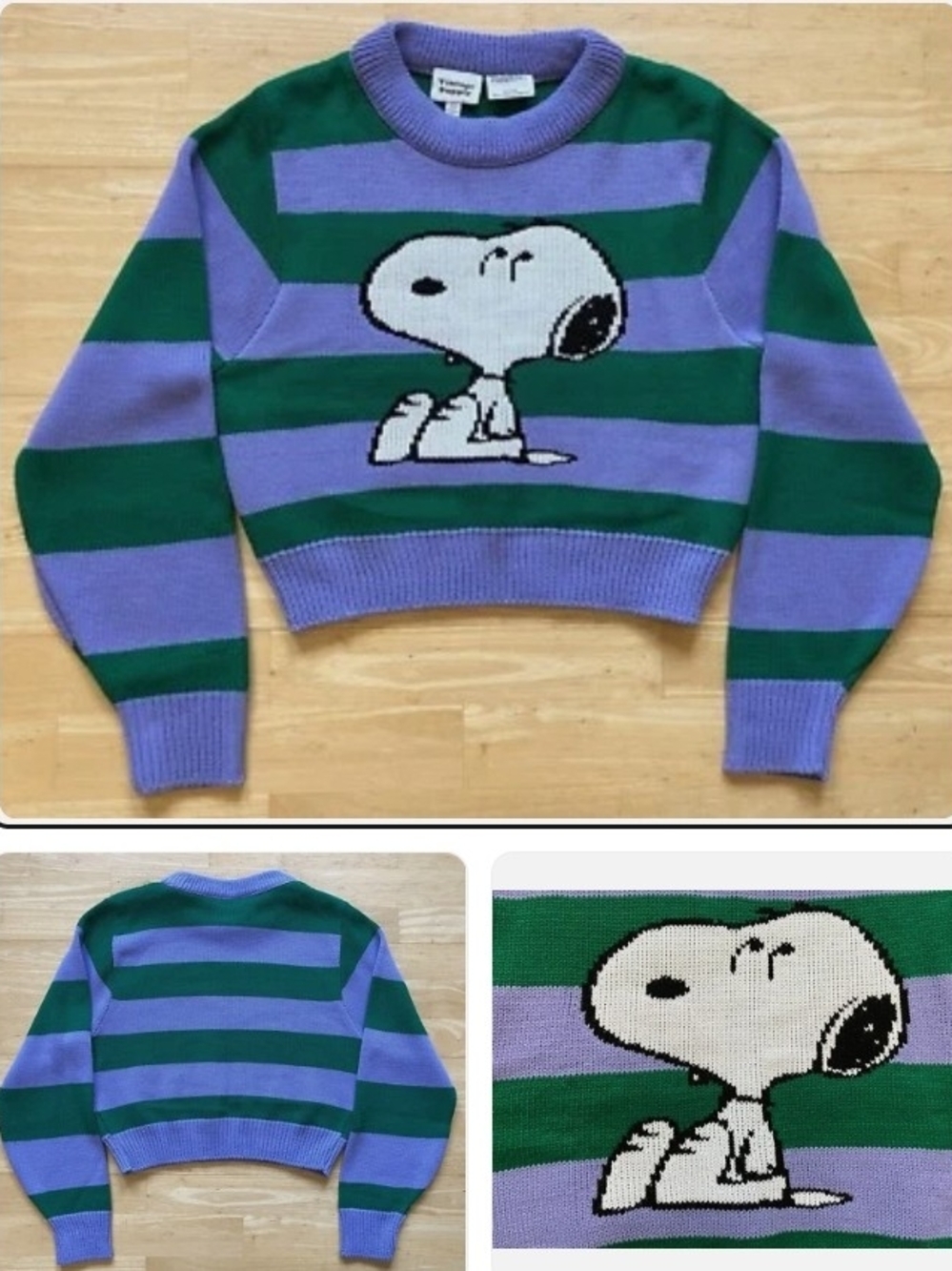 Snoopy Striped Cropped Sweater - Purple & Green